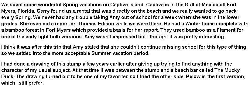 Text Box: We spent some wonderful Spring vacations on Captiva Island. Captiva is in the Gulf of Mexico off Fort Myers, Florida. Gerry found us a rental that was directly on the beach and we really wanted to go back every Spring. We never had any trouble taking Amy out of school for a week when she was in the lower grades. She even did a report on Thomas Edison while we were there. He had a Winter home complete with a bamboo forest in Fort Myers which provided a basis for her report. They used bamboo as a filament for one of the early light bulb versions. Amy wasn�t impressed but I thought it was pretty interesting. I think it was after this trip that Amy stated that she couldn�t continue missing school for this type of thing so we settled into the more acceptable Summer vacation period. I had done a drawing of this stump a few years earlier after giving up trying to find anything with the character of my usual subject. At that time it was between the stump and a beach bar called The Mucky Duck. The drawing turned out to be one of my favorites so I tried the other side. Below is the first version, which I still prefer.